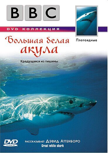 Фильм BBC: Большая белая акула (1995)