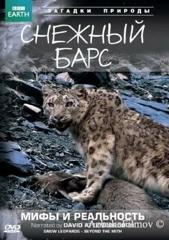 Фильм BBC: Снежный барс: Мифы и реальности (2007)