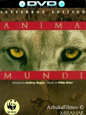 Фильм Душа мира (1991)