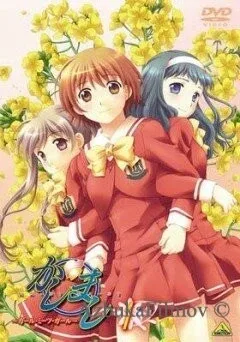 Фильм Касимаси: Девушка встречает девушку (2006)