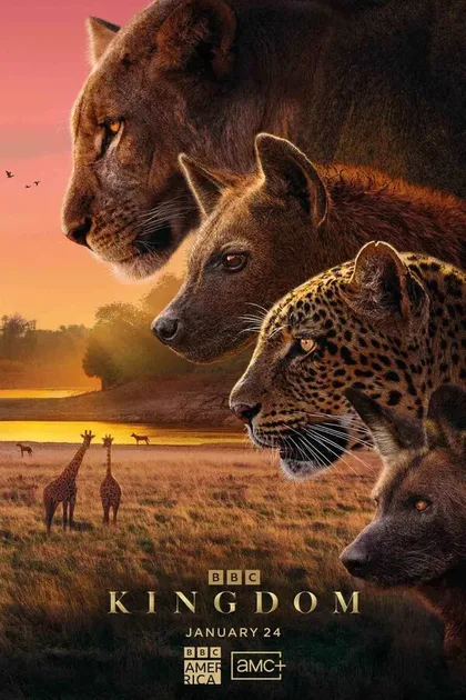 Фильм Царство животных (2025)