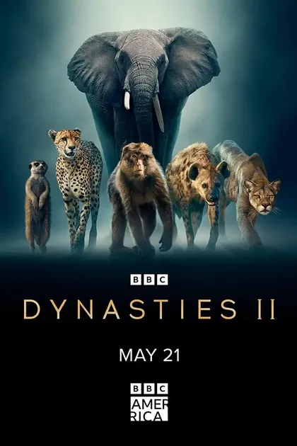 Фильм Династии II (2022)