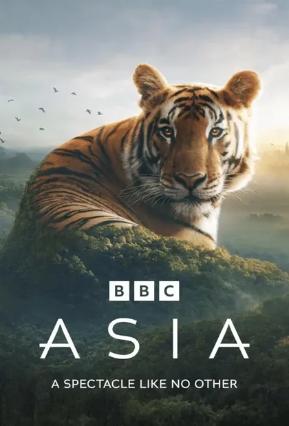 Фильм Азия (2024)