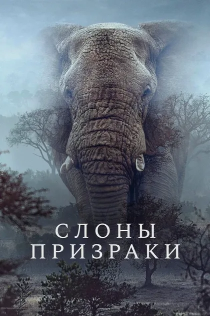 Фильм Слоны-призраки (2025)