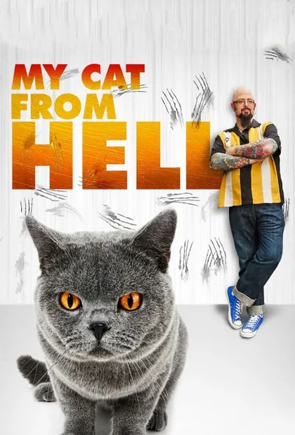 Фильм Адская кошка (2011)