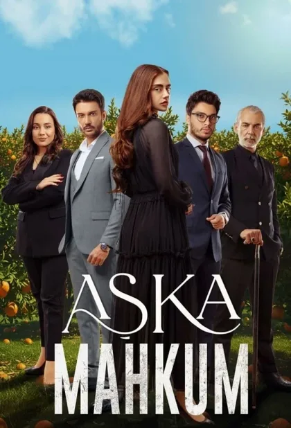 Фильм Заключенный любви (2025)