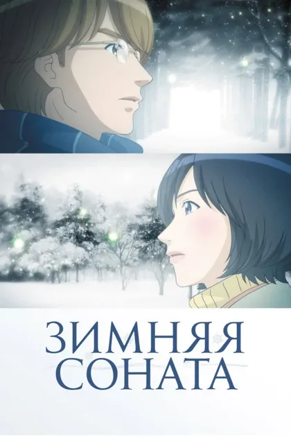 Фильм Зимняя соната (2009)