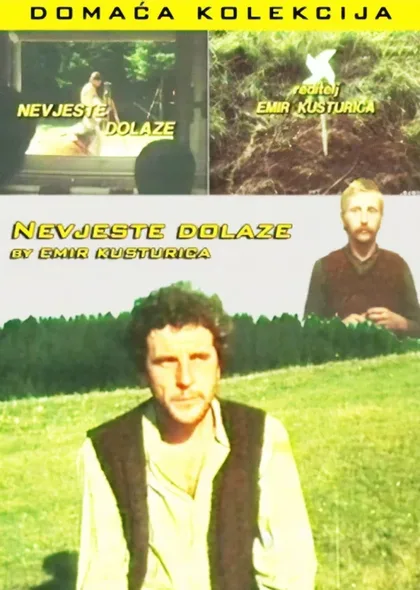 Фильм Невесты приходят (1979)
