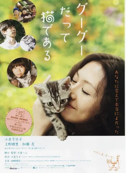 Фильм Кот по имени Гу-Гу (2008)