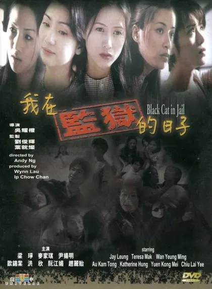 Фильм Чёрная кошка 3: В тюрьме (2000)