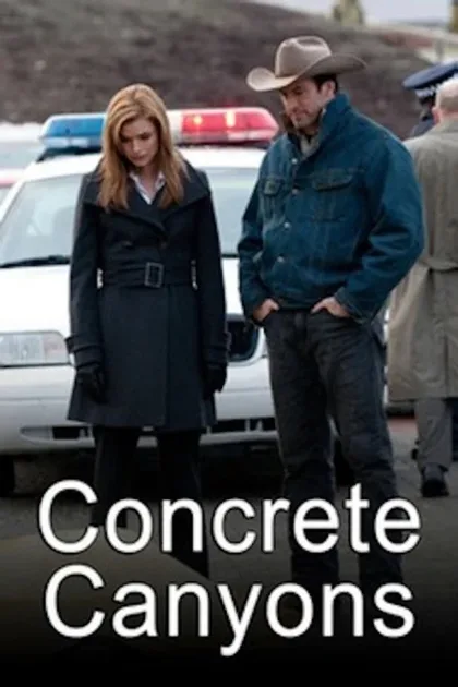 Фильм Бетонные ущелья (2010)