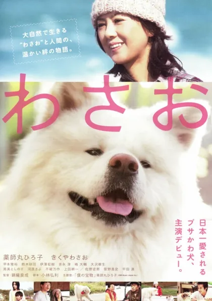 Фильм Васао (2011)