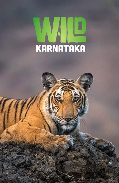 Фильм Дикая Карнатака (2020)
