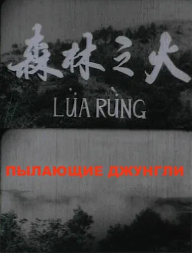 Фильм Пылающие джунгли (1965)