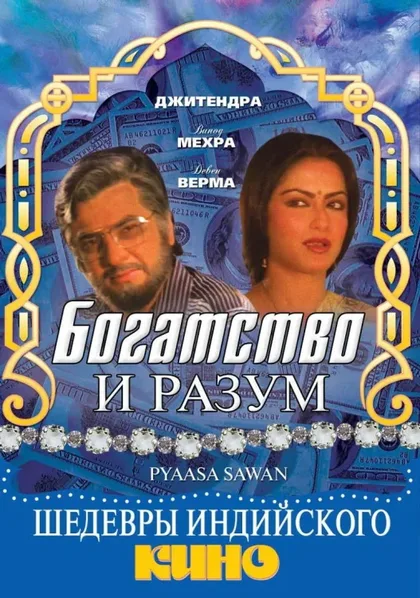 Фильм Богатство и разум (1981)