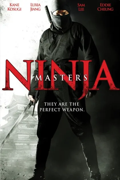Фильм Паутина лжи (2009)