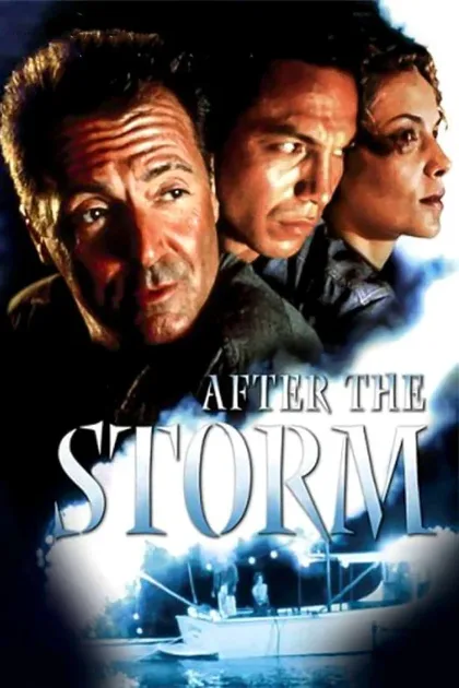 Фильм После шторма (2001)