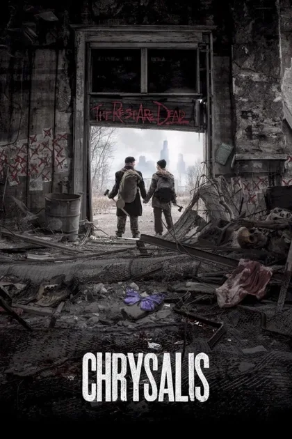 Фильм Куколка (2014)