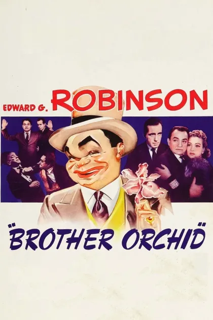 Фильм Брат «Орхидея» (1940)