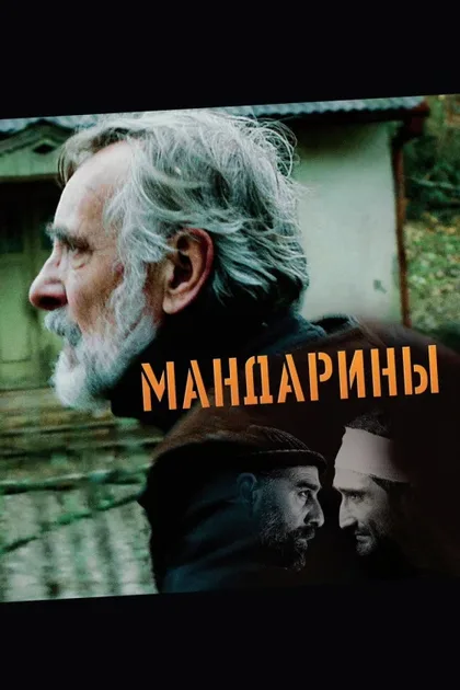 Фильм Мандарины (2013)