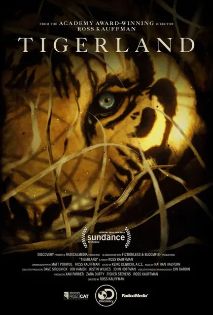 Фильм Спасти тигра (2019)