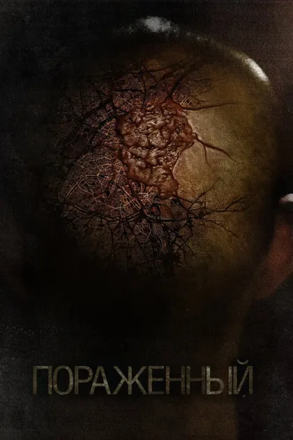 Фильм Пораженный (2013)