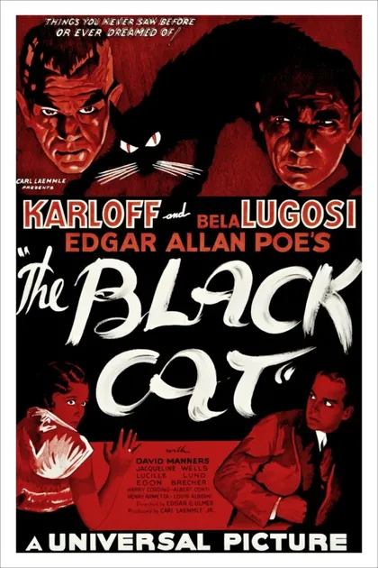 Фильм Черный кот (1934)
