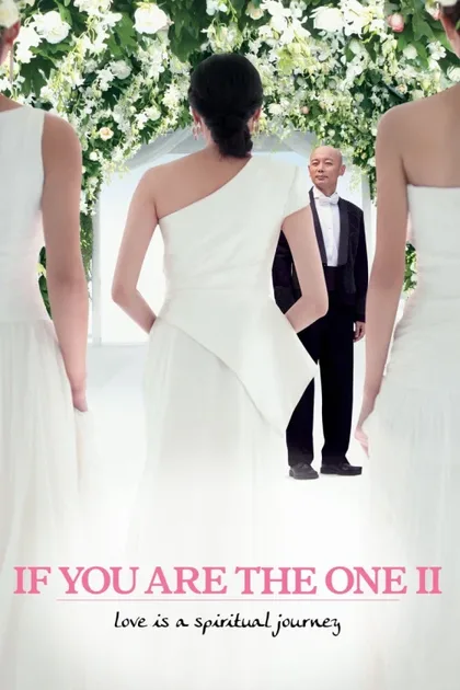 Фильм Если ты единственная 2 (2010)