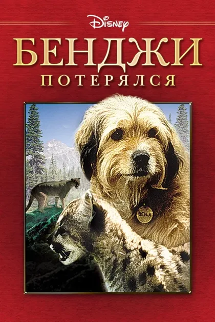 Фильм Бенджи потерялся (1987)