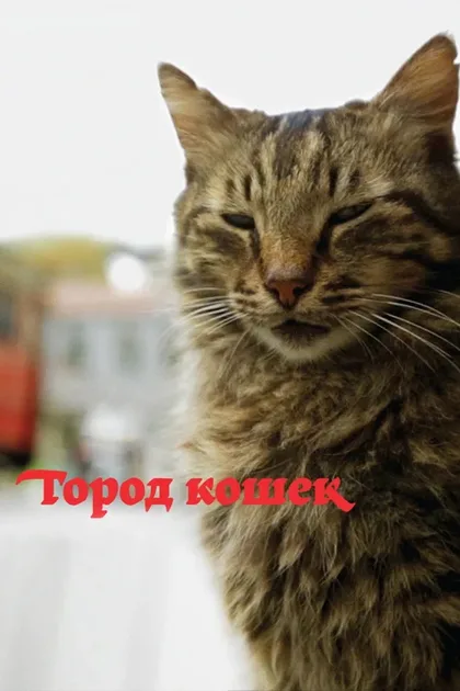 Фильм Город кошек (2016)