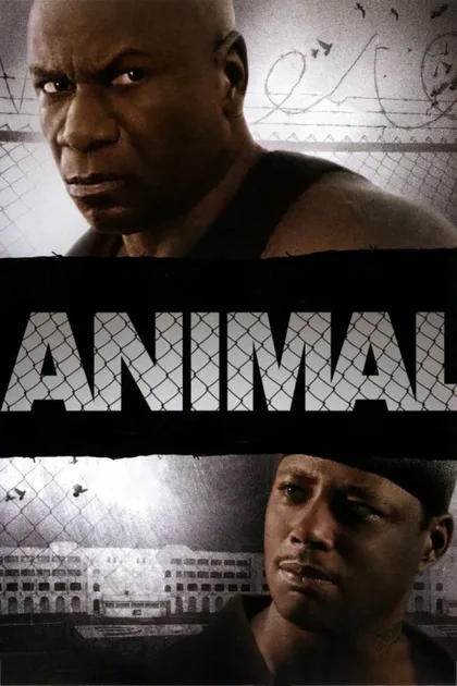 Фильм Животное (2005)