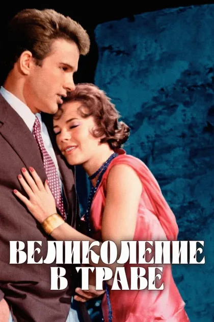 Фильм Великолепие в траве (1961)