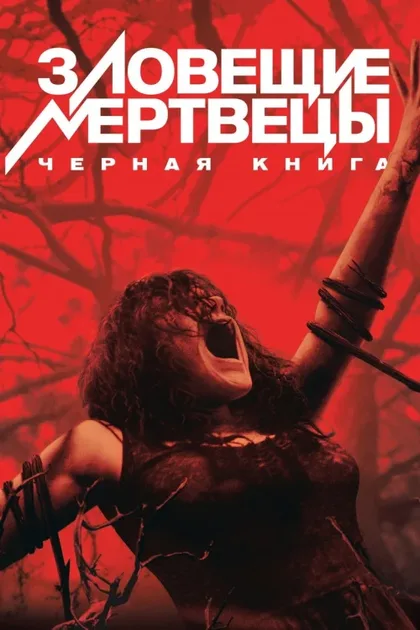 Фильм Зловещие мертвецы: Черная книга (2013)