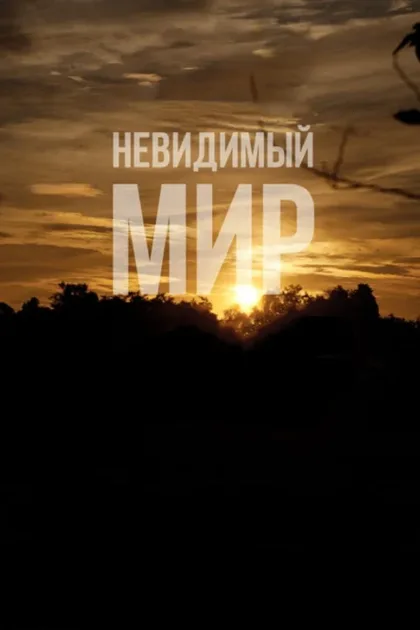 Фильм Невидимый мир (2012)