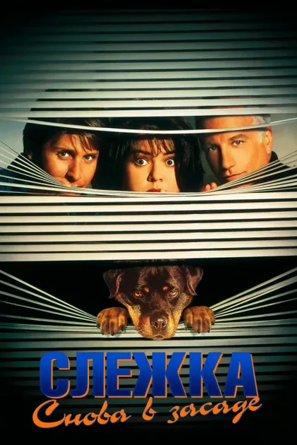 Фильм Слежка 2: Снова в засаде (1993)