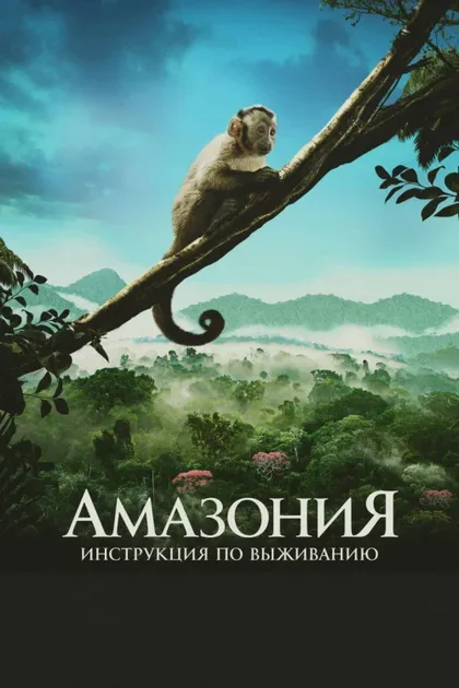 Фильм Амазония: Инструкция по выживанию (2013)