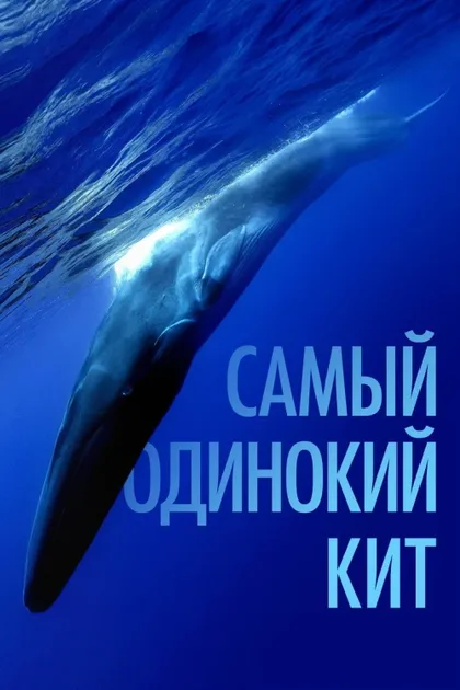 Фильм Самый одинокий кит (2021)