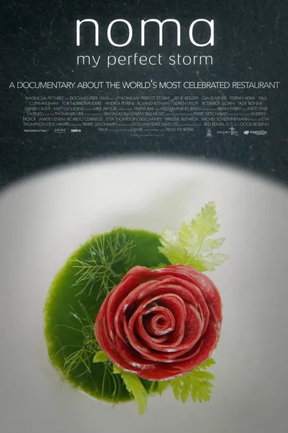 Фильм «Нома» – мой идеальный шторм (2015)