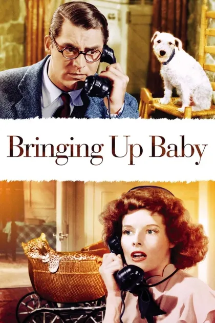 Фильм Воспитание Крошки (1938)