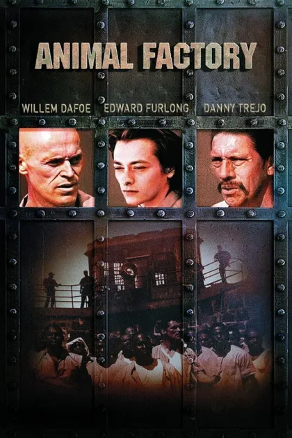 Фильм Зверофабрика (2000)