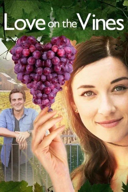 Фильм Любовь на винограднике (2017)