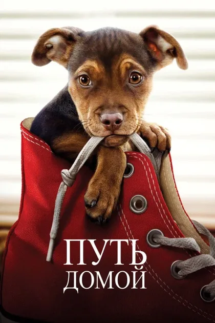 Фильм Путь домой (2019)