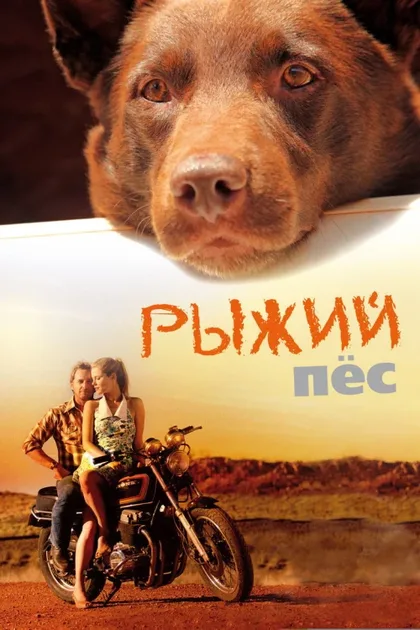 Фильм Рыжий пес (2011)