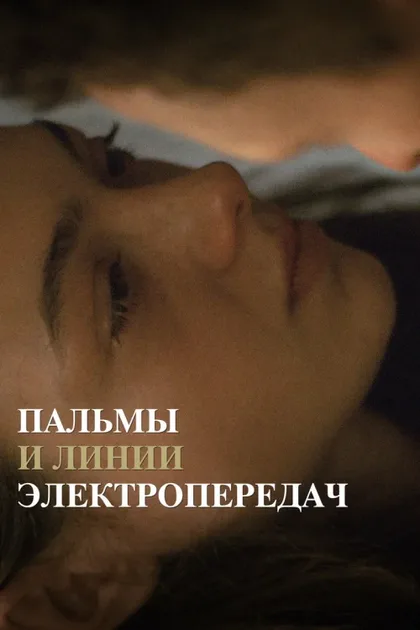 Фильм Пальмы и линии электропередач (2022)