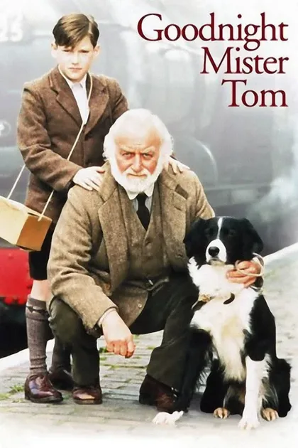 Фильм Спокойной ночи, мистер Том (1998)