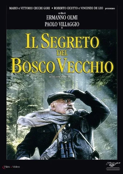 Фильм Тайна старого леса (1993)