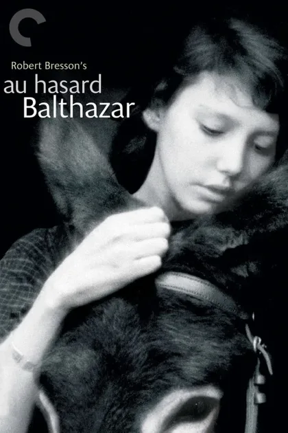 Фильм Наудачу, Бальтазар (1966)