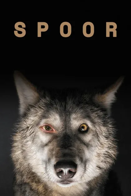 Фильм След зверя (2017)