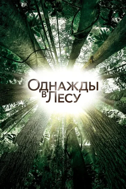 Фильм Однажды в лесу (2013)