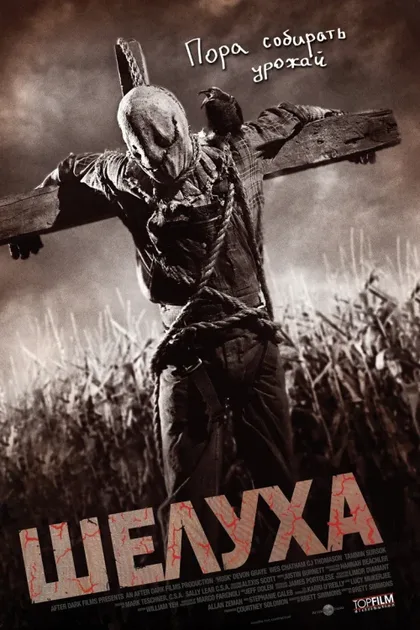 Фильм Шелуха (2010)